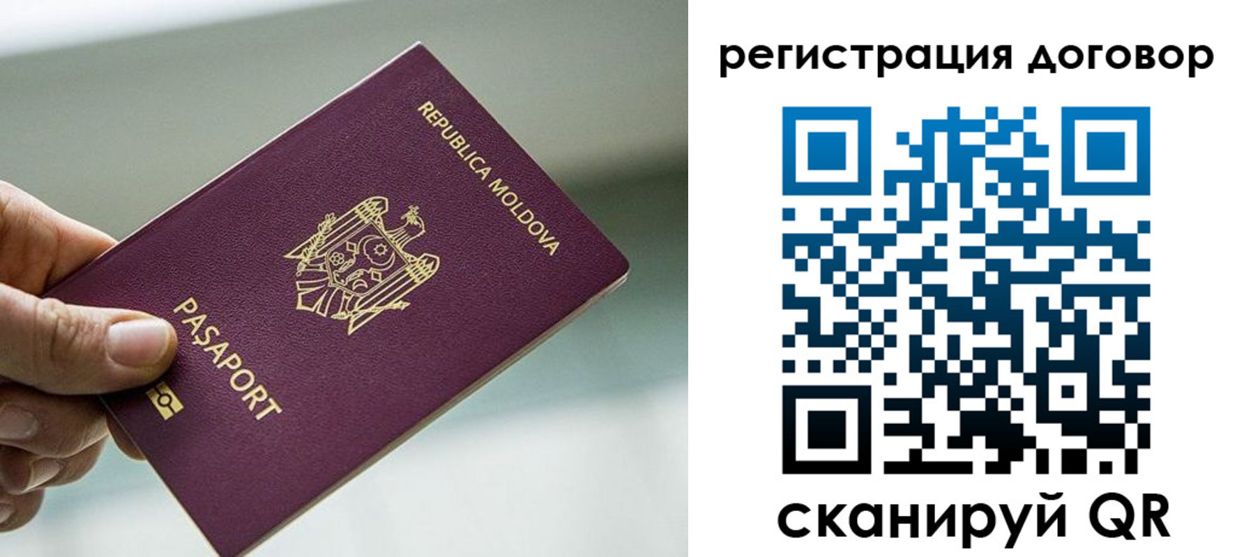 прописка в квартире в Реже